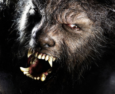for the new Wolfman movie